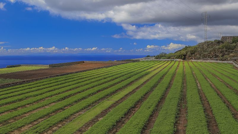 5g/4g工業路由網關
