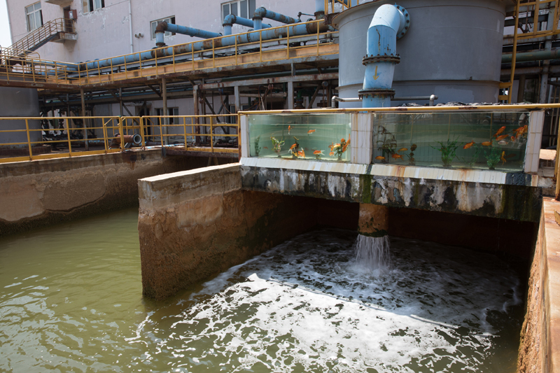 5g/4g工業路由網關 5g/4g工業路由網關