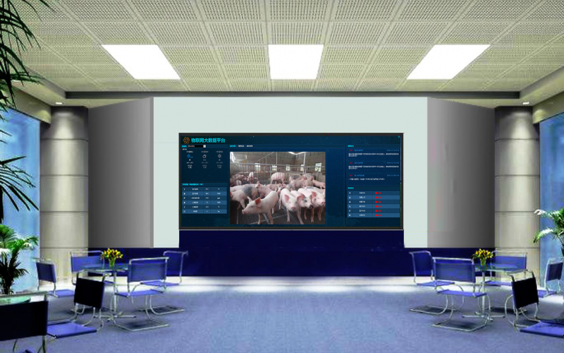 智慧養豬場解決方案：方案實現智能控制可視化管理