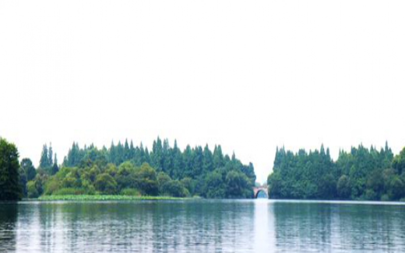 雙碳政策下智慧水務建設穩扎穩打